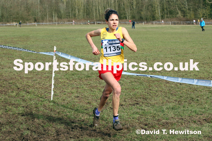 Senior women, 2020 British Athletics Inter Counties Cross Country Champs., Prestwold Hall, Loughborough. Photo: David T. Hewitson/Sports for All Pics